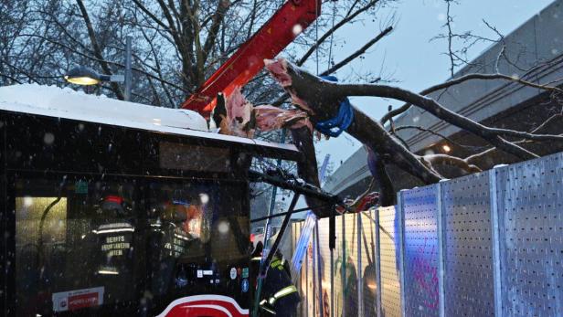 Buslenker bei Unfall in Wien-Donaustadt in Fahrzeug eingeklemmt