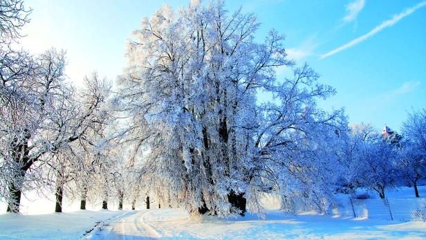 Winterwandern im Burgenland: Einmalige Erlebnisse