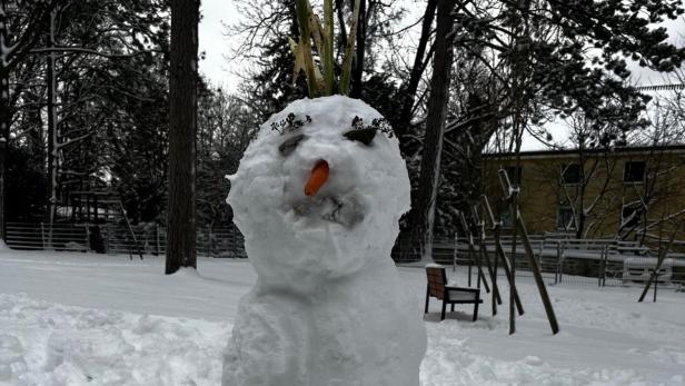 Ein Schneemann mit einer Karottennase steht im Schnee.