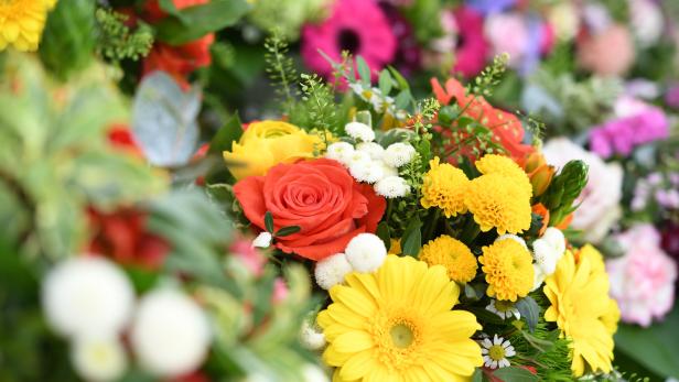Einbrecherbande hatte es auf Blumenläden in NÖ und Wien abgesehen