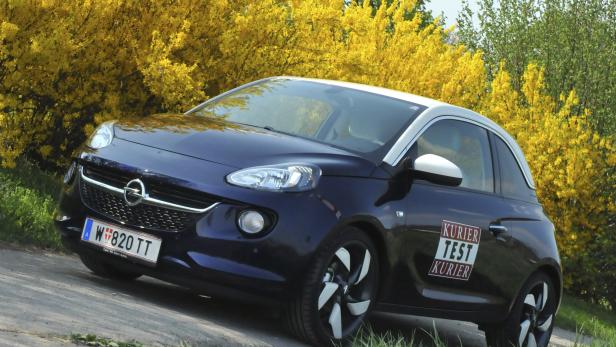 Ein dunkelblauer Opel Adam vor einem Busch mit gelben Blüten.