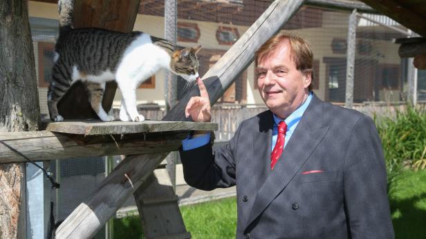 Ein Mann im Anzug stupst eine Katze auf einem Holzgerüst an.