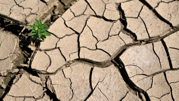 ++ THEMENBILD ++ HITZE / TROCKENHEIT / DÜRRE / KLIMAWANDEL