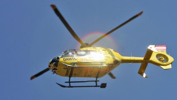 Kärnten: Hund beißt Kleinkind in Kopf