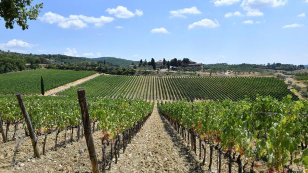 Von italienischen Weinhängen wird auch nach Irland exportiert – und dort soll es bald Warnschilder auf Weinflaschen geben