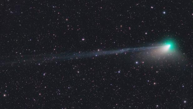 Gespannter Blick zum Himmel auf Komet C/2022