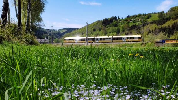 Schienenersatzverkehr: Bauarbeiten bremsen die Mariazellerbahn aus