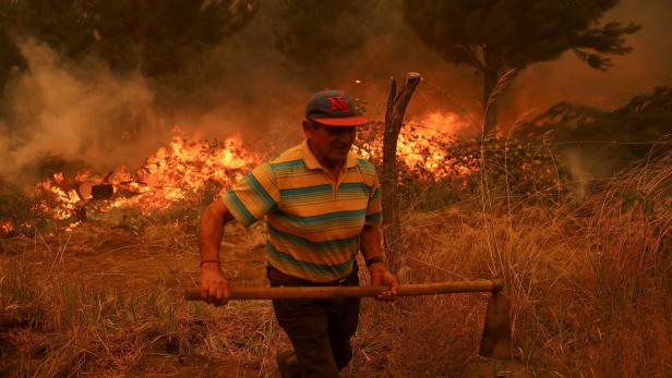 Waldbrände in Chile: Sieben mutmaßliche Brandstifter verhaftet