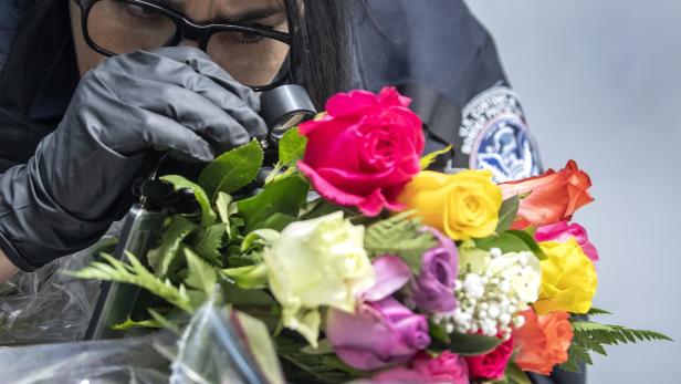 Valentinstag: Teure Blumenkontrolle am Miami-Flughafen