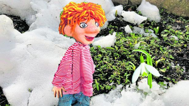 Seppy Seppy bewundert das Schneeglöckchen