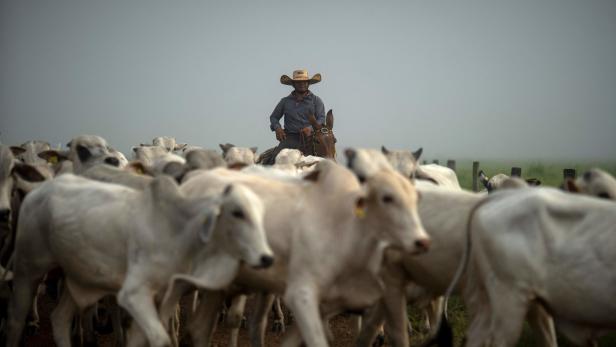 Handelsabkommen Mercosur: Agrarier gegen Industrie