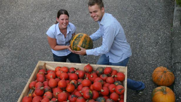 Erntefrische Bio-Kürbisse zum Nulltarif