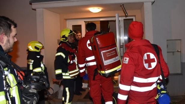 Brand im Bezirk Baden: Feuerwehr musste zahlreiche Tiere retten