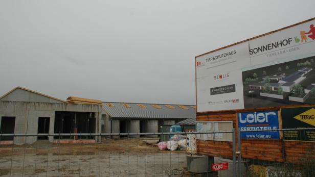 Tierschutzhaus auf der Zielgeraden