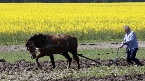 839 Millionen Arbeiter verdienen weniger als 1,5 Euro am Tag