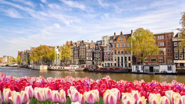 Im Vordergrund pinke und rote Tulpen, dahinter Kanal und Häuser in Amsterdam