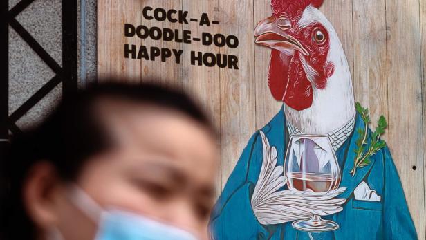 Vogelgrippe fordert in Kambodscha erstes Todesopfer