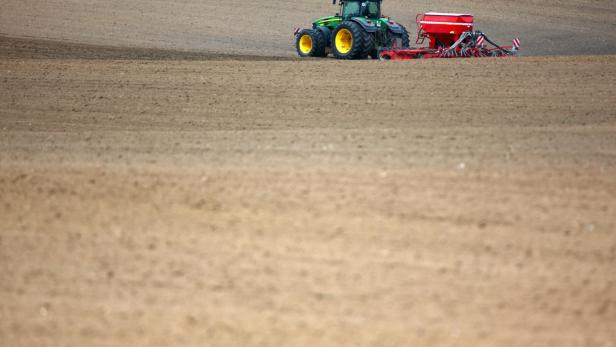 Phosphor in der Landwirtschaft