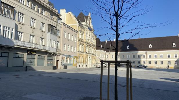 Disput um Domplatz in St. Pölten: „Zehn zusätzliche Bäume sind machbar“