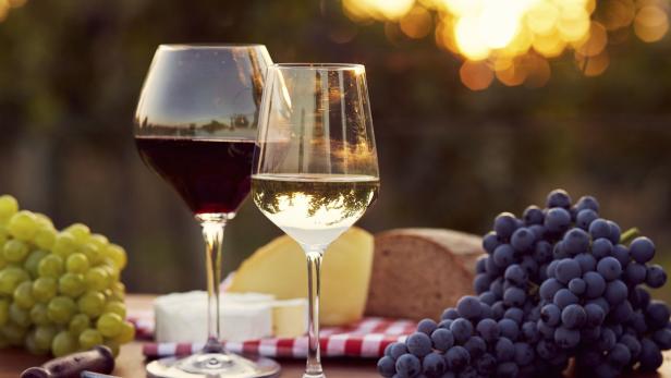 Zwei Gläser Wein, Käse, Brot und Trauben auf einem Tisch im Freien.