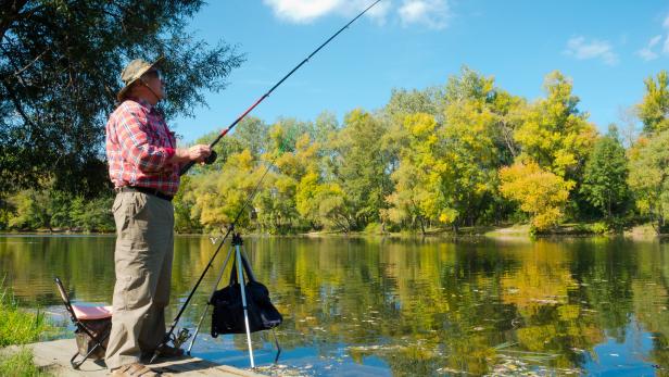 Renaturierung: Wovon Fische und Fischer am meisten profitieren