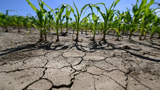 Weichenstellung für die Zukunft der Landwirtschaft