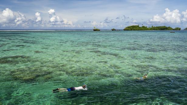 Im Korallenriff schnorcheln vor der Fidschi-Insel Vanua Levu.