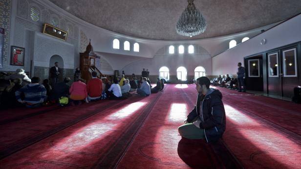 Was wird in heimischen Moscheen gepredigt?