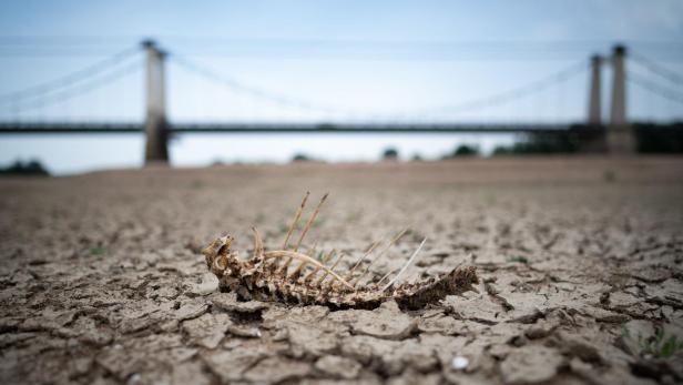 FRANCE-FILES-FRANCE-WEATHER-DROUGHT