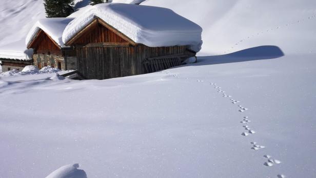 Spuren im Schnee: Eine Tour mit dem Ranger durch den Nationalpark ist eine Entdeckungsreise.