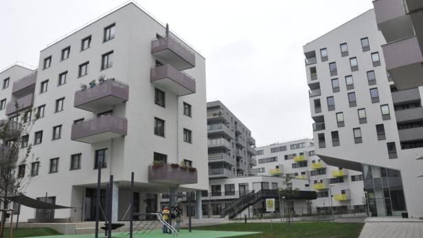 Sozialer Wohnbau und schmucke Eigentumswohnungen: In der Seestadt Aspern in Wien-Donaustadt will die SPÖ soziale Durchmischung gelebt wissen
