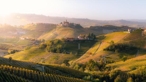 Herbst in der Region Langhe, Piemont, Italien.