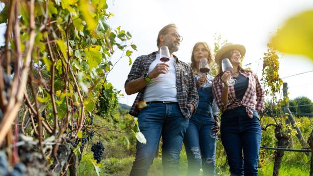 Drei Personen stehen mit Weingläsern in einem Weinberg.