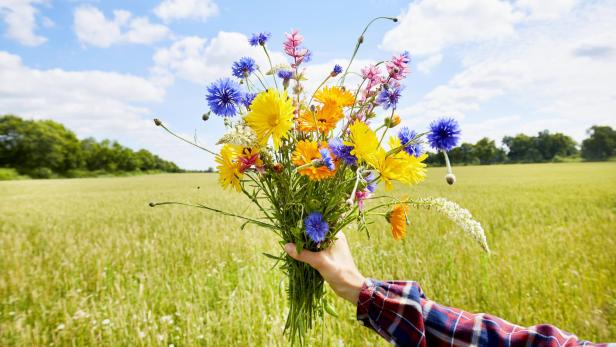 Die Hand einer Frau hält einen bunten Strauß Wildblumen im Sommer.