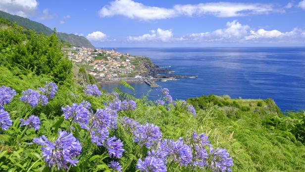 Blick auf eine Küstenstadt mit lila Agapanthus-Blüten im Vordergrund.