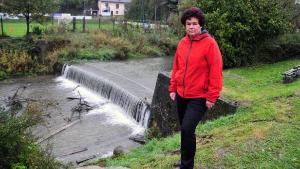 1318263602636020.jpg Mit Auto in den Fluss gerast: Fahrer konnte sich befreien