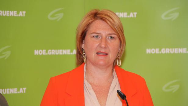 Helga Krismer: Obfrau des neuen Klubs der Grünen im NÖ Landtag