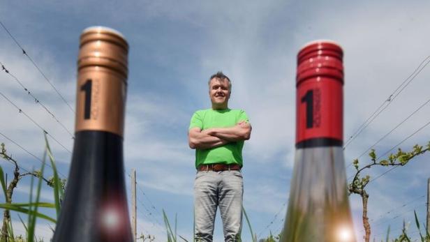 Mehr Geschäft durch Klimawandel: Oberösterreichs Weinbauern auf dem Vormarsch