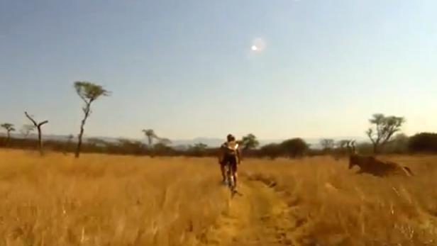 Video: Antilope rammt Radfahrer