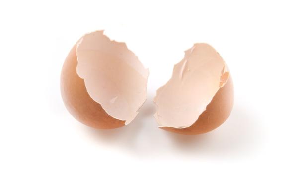 Warum sich Eierschalen gut als Pflanzendünger machen