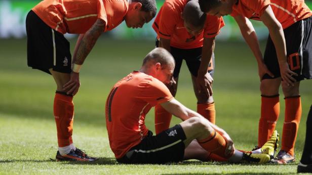 Streit um den zerbrechlichen Robben