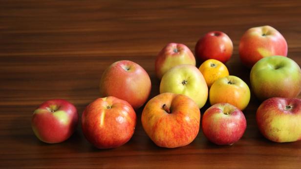 Äpfel:  buntes, rundes und gesundes Kernobst