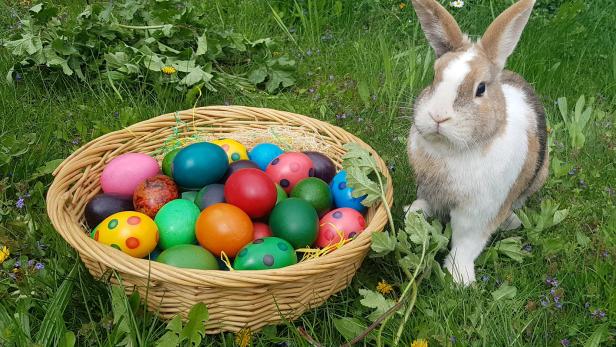 Karwoche: Warum der Hase die Ostereier bringt