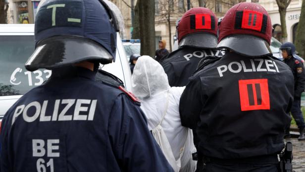 Polizeieinsatz bei Gaskonferenz: "Demonstrant wurde in die Niere geboxt"