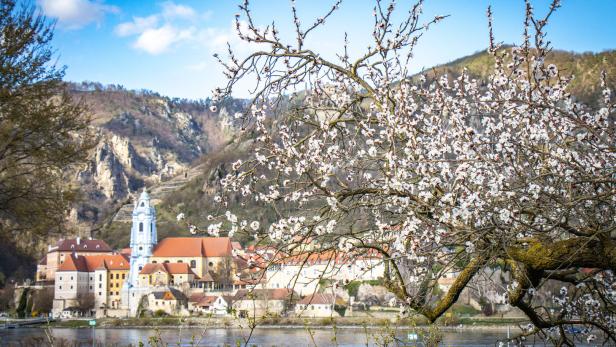Das sind die schönsten Radtouren durch die Wachau