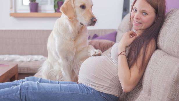 Warum schon Schwangere Haustiere haben sollten
