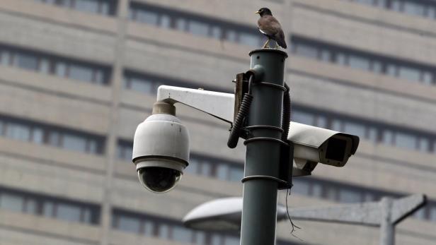A bird sits atop a closed-circuit television (CCTV) camera pole at a traffic intersection in New Delhi June 18, 2013. India has launched a wide-ranging surveillance programme that will give its security agencies and even income tax officials the ability to tap directly into e-mails and phone calls without oversight by courts or parliament, several sources said. Picture taken June 18. To match INDIA-SURVEILLANCE/ REUTERS/Anindito Mukherjee (INDIA - Tags: BUSINESS TELECOMS POLITICS)