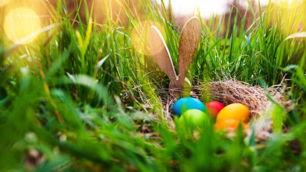 Easter eggs in a spring meadow