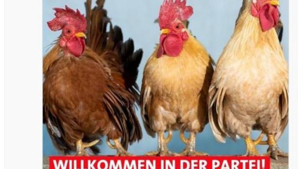 Gockel und Schnitzel mit Ketchup: SPÖ-Kampagne sorgt für Aufsehen