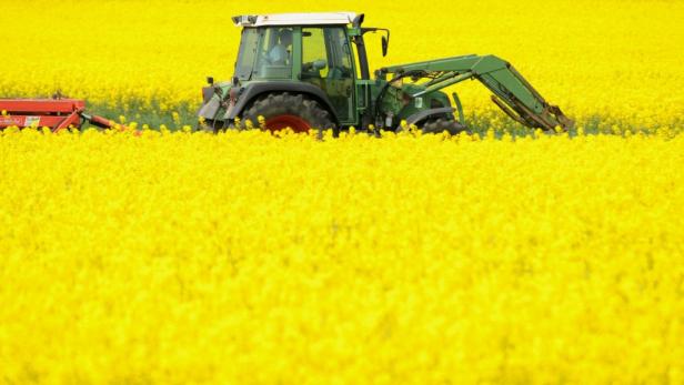 Viel Widerstand gegen moderate Agrar-Reform